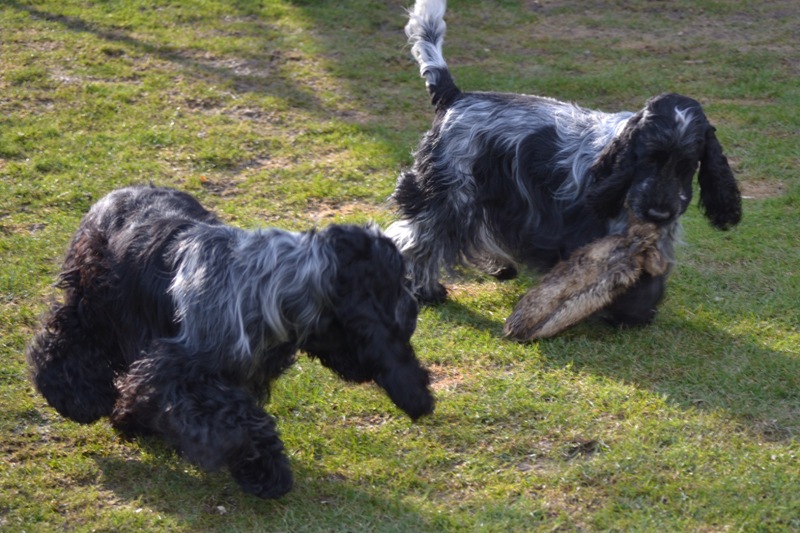 15-Erika a Dominant.JPG